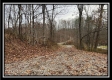 35841 Buck Run Road property photo