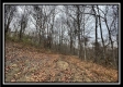 35841 Buck Run Road property photo