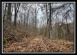 35841 Buck Run Road property photo