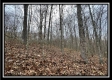35841 Buck Run Road property photo