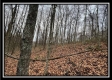 35841 Buck Run Road property photo