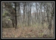35841 Buck Run Road property photo