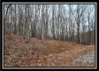 Tract 7 at Black Run property photo