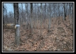 Tract 7 at Black Run property photo