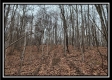 Tract 7 at Black Run property photo
