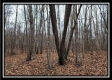 Tract 7 at Black Run property photo