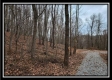 Tract 7 at Black Run property photo