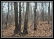 Tract 7 at Black Run property photo