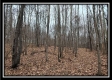 Tract 7 at Black Run property photo
