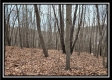 Tract 7 at Black Run property photo