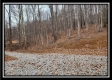 Tract 7 at Black Run property photo