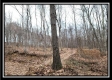 Tract 7 at Black Run property photo