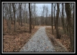 More of Tract 7 at Black Run