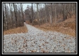 Tract 7 at Black Run property photo