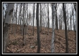 Tract 7 at Black Run property photo