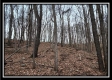 Tract 7 at Black Run property photo