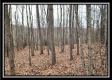 Tract 7 at Black Run property photo