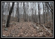 Tract 7 at Black Run property photo