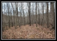Tract 7 at Black Run property photo