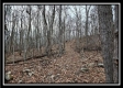 Tract 7 at Black Run property photo