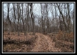 Tract 7 at Black Run property photo
