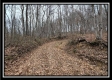 More of Tract 7 at Black Run