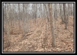 More of Tract 7 at Black Run