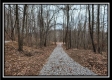 Tract 7 at Black Run property photo