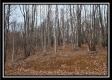 Tract 7 at Black Run property photo