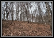 Tract 8 at Black Run property photo