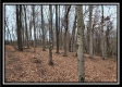 Tract 8 at Black Run property photo