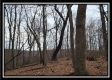 Tract 8 at Black Run property photo