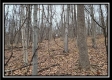 Tract 8 at Black Run property photo