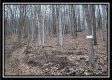 Tract 8 at Black Run property photo