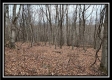 Tract 8 at Black Run property photo