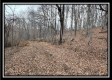 Tract 8 at Black Run property photo