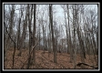 Tract 8 at Black Run property photo