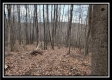 Tract 8 at Black Run property photo