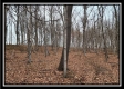 Tract 8 at Black Run property photo