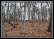 Tract 8 at Black Run property photo