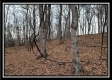 Tract 8 at Black Run property photo