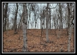Tract 8 at Black Run property photo