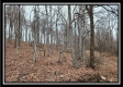 Tract 8 at Black Run property photo