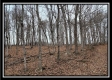 Tract 8 at Black Run property photo