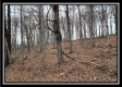 Tract 8 at Black Run property photo