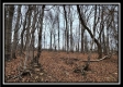 Tract 8 at Black Run property photo