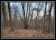 Tract 8 at Black Run property photo