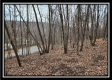 More of Tract 8 at Black Run