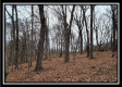 Tract 8 at Black Run property photo