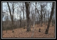Tract 8 at Black Run property photo
